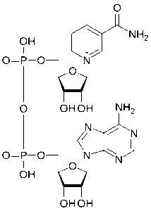 Nad+ molecular structure XL Peptides